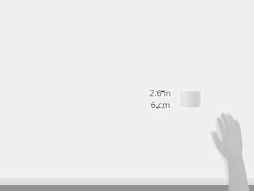 DYMO Authentic LabelWriter Standard Shipping Labels for LabelWriter Label Printers (30256), White, 2-5/16'' x 4'', 6 Rolls of 300