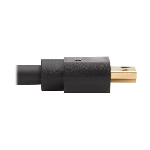 Tripp Lite DisplayPort to HDMI Adapter Active DP 1.2a to HDMI 2.0 M/M 20ft (P582-020-4K6AE)