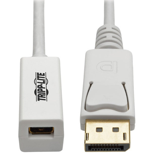 Tripp Lite 6in Displayport To Mini