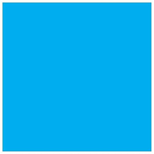 Epson T760520 760, Light Cyan Ink Cartridge