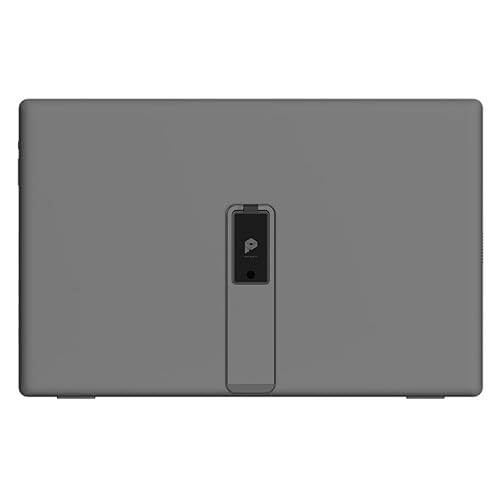 MSI PRO MP161 E2U 16 Class Full HD LED Monitor - 16:9 - Black, Metal Silver