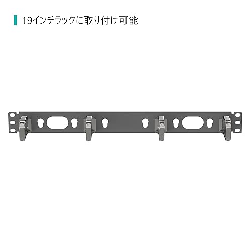 Panduit CMPHF1 Horizontal Cable Management D-Ring, Black