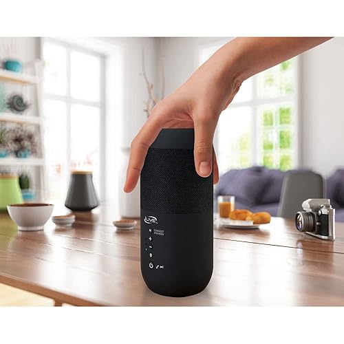 iLive ISBW240BDL ISBW240BDL Bluetooth Indoor and Outdoor Waterproof Speakers with Removable Stakes, 2 Count, Black