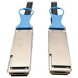Tripp Lite QSFP28 to QSFP28 100GbE Passive DAC Copper InfiniBand Cable (M/M), 3M, 10' (N282-03M-28-BK)