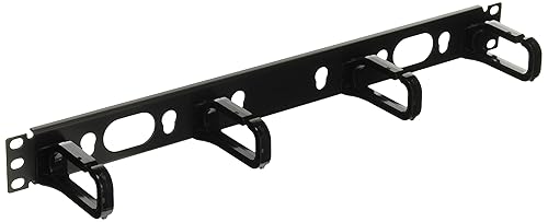 Panduit CMPHF1 Horizontal Cable Management D-Ring, Black