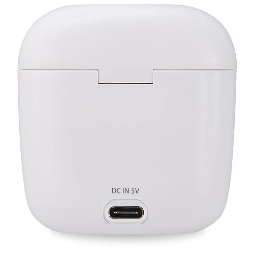 DPI IAEBT300W BT Truly Wire-Free Earbuds