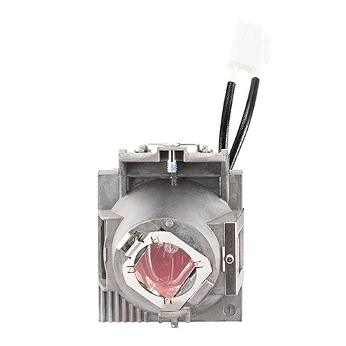 ViewSonic Projector Replacement Lamp for PX701-4K