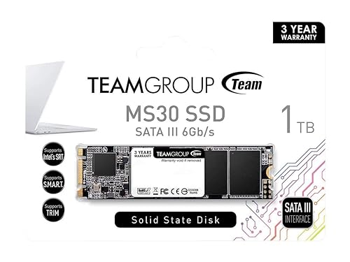 Team Group MS30 M.2 1000 GB Serial ATA III