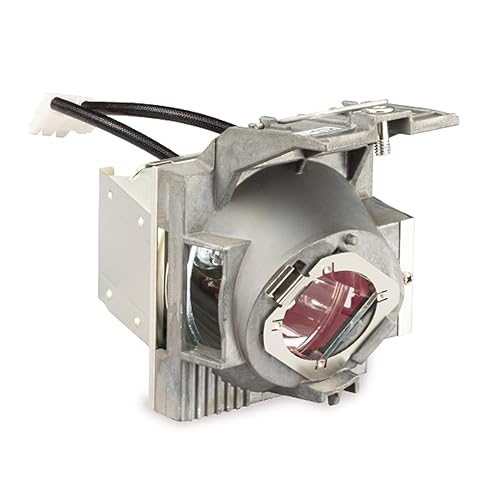 ViewSonic Projector Replacement Lamp for PX701-4K