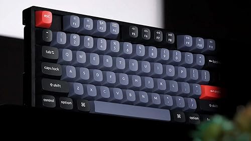 Keychron K8 Pro Hot-swappable Wireless/Wired Mechanical Keyboard South-Facing RGB Lights Aluminum Frame Gateron Pro Red Switches TKL Layout (87 Keys) for Windows Mac Linux, Black (K8P-J1)