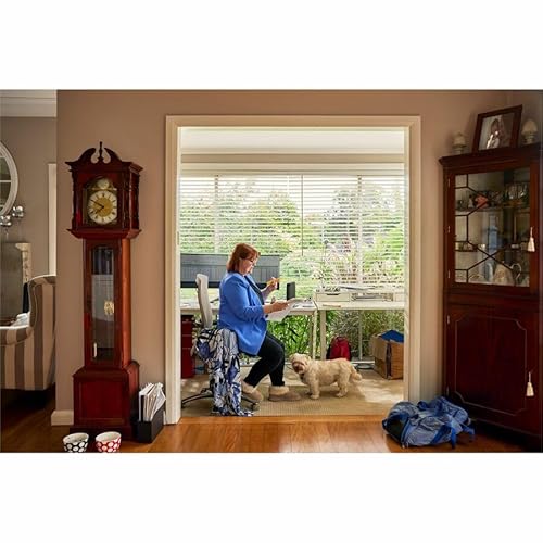 HP Elite t655 Thin Client Ryzen R2314 Quad-core (4 Core) 2.10 GHz - TAA Compliant - AMD Chip - 8 GB RAM DDR4 SDRAM - DDR4-3200/PC4-25600 - 64 GB Flash Radeon Graphics - Gigabit Ethernet - Windows 10 I