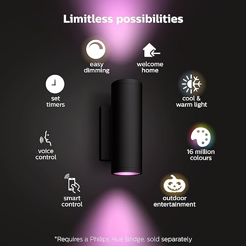 Philips Hue White & Color Ambiance Appear Outdoor Wall Light Fixture, Outdoor Lights, Wall Lantern (Hue Hub Required, Works with Alexa, Apple Homekit & Google Assistant), Black