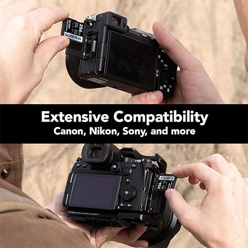 Lexar Professional Silver Plus UHS-I V30 SDXC Card - 256GB