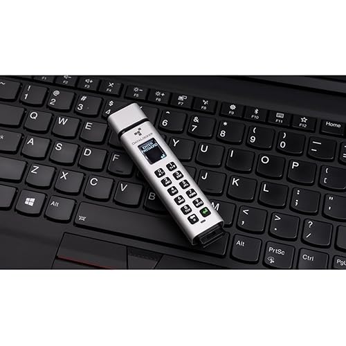 Datalocker SK350-064-FE 64GB Encrypted USB Drive Flash
