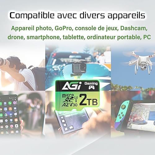 AGI 2TB TF138 MicroSD Memory, High-Capacity Storage Suit for Gaming. MicroSDXC A2 U3 V30 4K UHS-I U3 (Read Speed up to 170 MB/s, Write Speed up to 160 MB/s) with SD Card Adapter