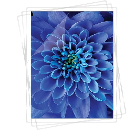 Fellowes 52041 Laminating Pouches 7mil 11 1/2 x 9 100/Pack