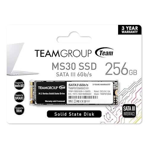 Team Group MS30 M.2 256 GB Serial ATA III