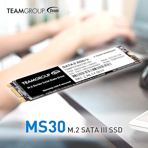 Team Group MS30 M.2 256 GB Serial ATA III