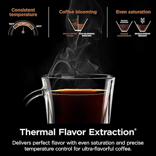 Ninja® Hot & Iced, Single Serve or Drip Coffee Maker with Rapid Cold Brew 10 Cup Glass Carafe, CM360C (Canadian Version)