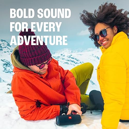 JBL Flip 5 Portable Waterproof Wireless Bluetooth Speaker with up to 12 Hours of Battery Life - Grey Gray Standard