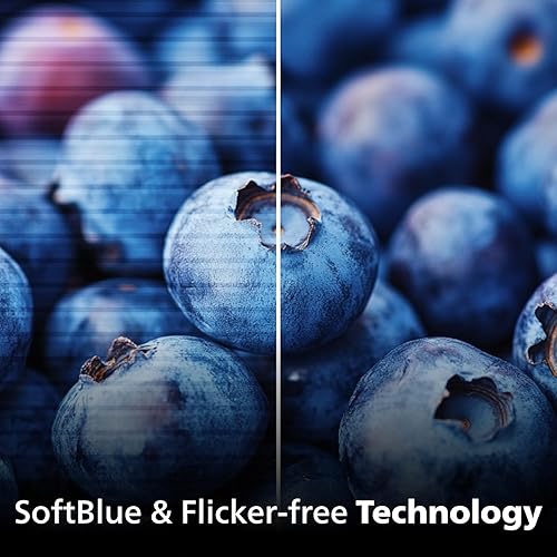 Philips 24B2N2100 24 inch FHD (1920 x 1080) 100Hz Gaming Office Monitor, Energy Star Certified, EPEAT Gold Certification, HDMI & VGA, 4 Year Advance Replacement Warranty 24 FHD EPEAT Gold