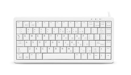 Light Grey, USB & Ps/2, Ultra Slim 83 Position Key Layout, W/O Windows Keys,Mech (G84-4100LCAUS-0)