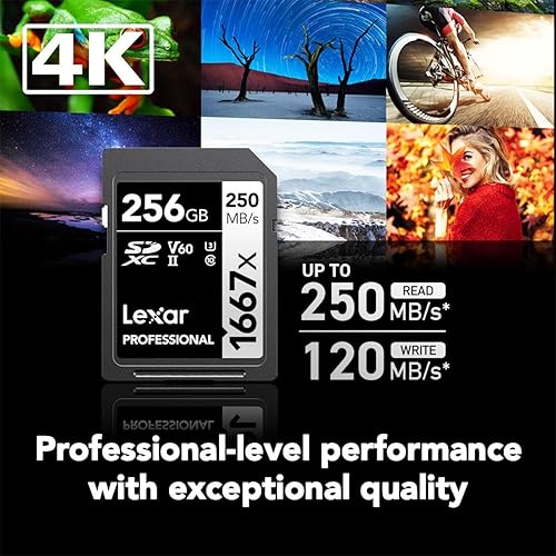 Lexar Professional (LSD256CBNA1667) 1667X 256GB SDXC Uhs-II/U3 Card 256GB Cards