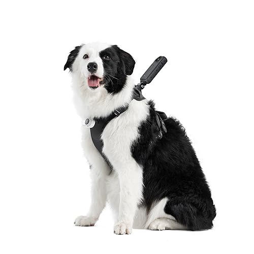 Pet Harness Mount Size L