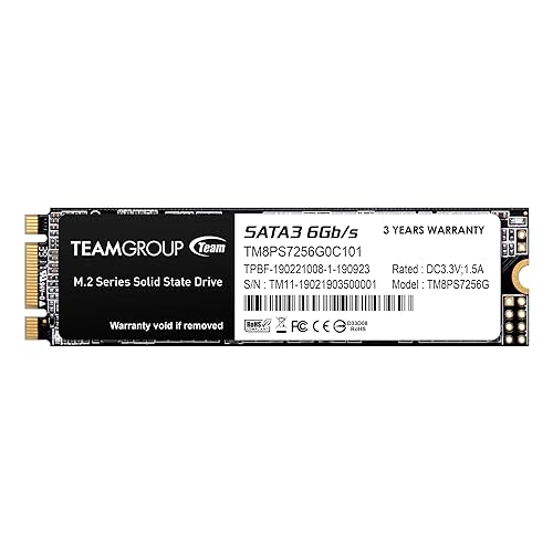 Team Group MS30 M.2 256 GB Serial ATA III