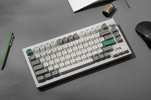Keychron Q1 Max Hotswap Wireless Mechanical Keyboard|RGB|Aluminum Frame|Shell White|with Knob|Gateron Jupiter Red|75% Layout (84 Keys)|Windows Mac OS (Q1M-P1) Jupiter Red Shell White