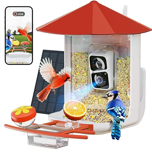 Perchme Sf-bf-ac01 Smart Bird Feeder with Camera (Azure Canopy)