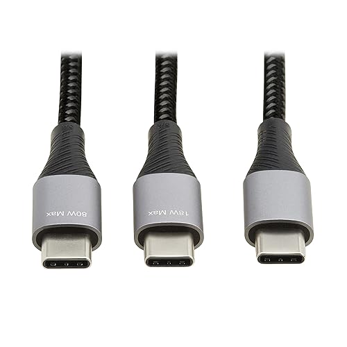 Tripp Lite Dual USB-C Multi-Charging Cable/Splitter, 6 Foot / 1.8 Meter Length, 100W PD Charging, 480 Mbps Data Transfer, Male-to-2x Male, 3-Year Warranty (U420P-2X6-100W)