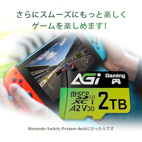 AGI 2TB TF138 Micro SD/Type C Card Reader, Nintendo Switch Tested to Work with Nintendo Switch MicroSDXC A2 U3 V30 4K UHS-I U3 (Read Speed up to 170MB/s, Speed