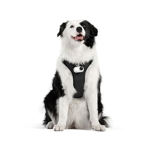 Pet Harness Mount Size L