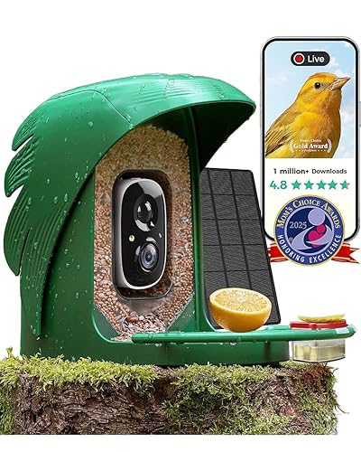 PerchMe Bird Feeder with Camera Navy Blue