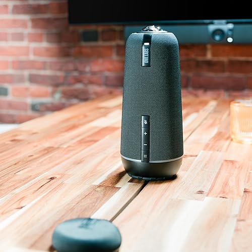 Owl Labs Expansion Mic for Meeting Owl 3 / Meeting Owl 4+ - Extend Audio Reach in Larger Spaces by 8 feet (2.5 Meters) in The Direction of The mic - Charcoal