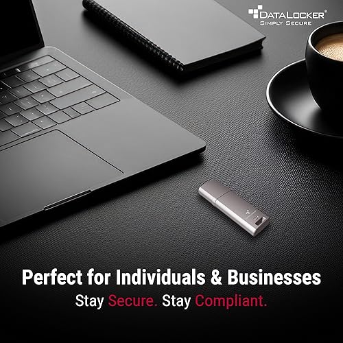 DataLocker DL GO Encrypted USB Flash Drive | USB 3.2 Gen 1 | AES 256-bit XTS | FIPS 197 | IP68 Rugged | TAA Compliant - 16GB 16GB Flash Drive