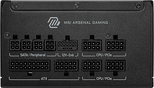 MSI MAG A750GLS PCIE5 Gaming Power Supply - Full Modular - 80 Plus Gold Certified 750W - Compact Size - ATX 3.1 and PCIE 5.1 Ready MAG A750GLS PCIE5 750W Gold