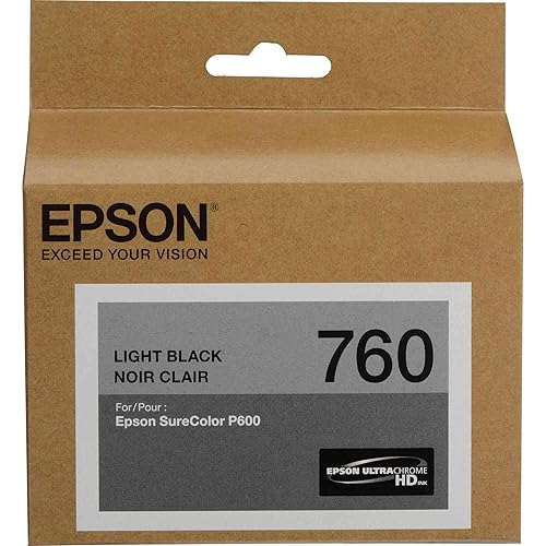 Epson T760720 760, Light Black Ink Cartridge