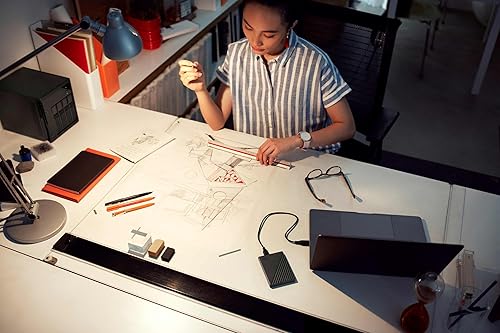 WD 6TB My Passport Portable External Hard Drive, Black, Includes Backup Software with Defense Against ransomware, and Password Protection - WDBR9S0060BBK-WESN Black 6TB PC