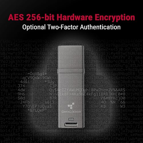 DataLocker DL GO Encrypted USB Flash Drive | USB 3.2 Gen 1 | AES 256-bit XTS | FIPS 197 | IP68 Rugged | TAA Compliant - 64GB 64GB Flash Drive