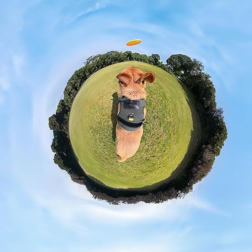 Pet Harness Mount Size L