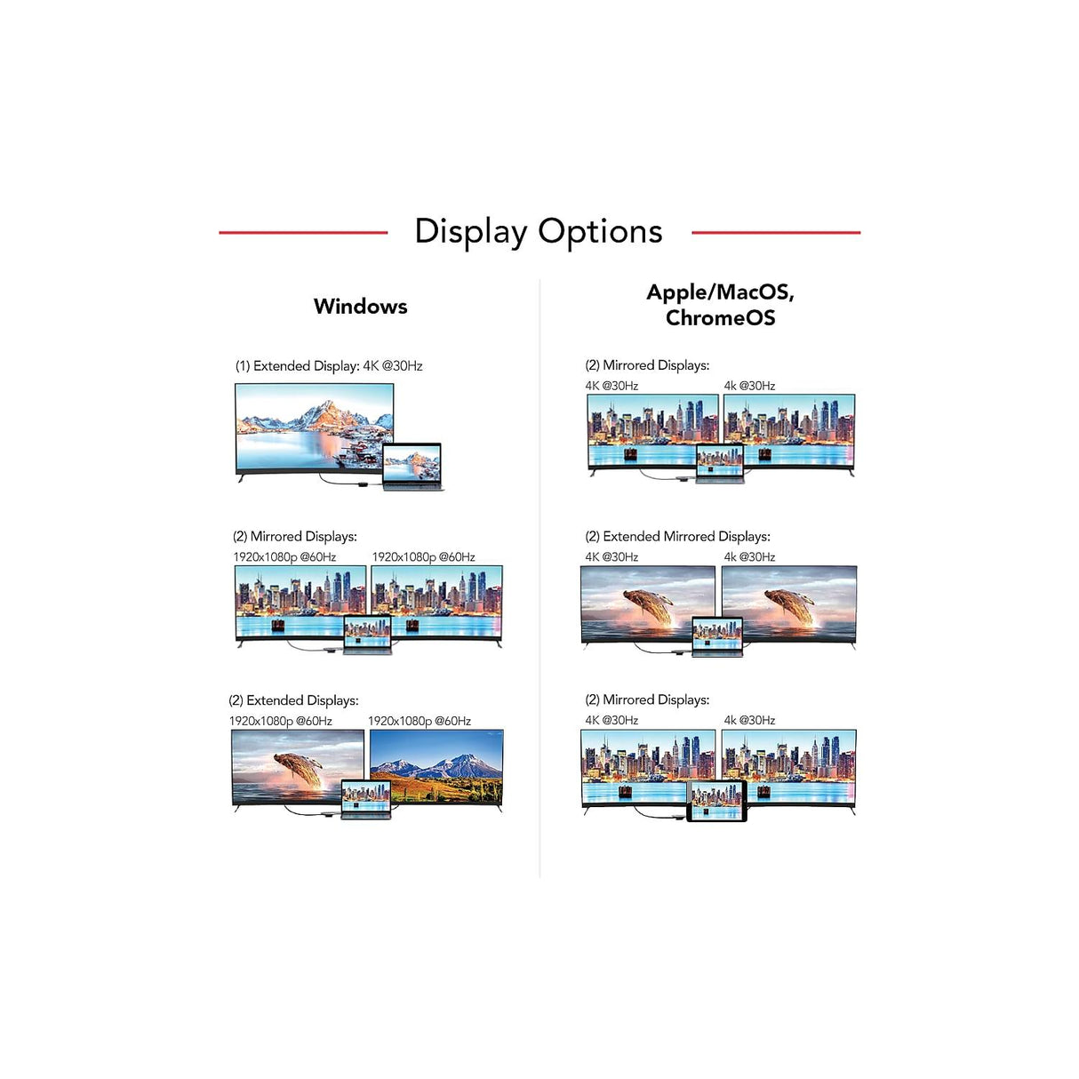 Codi 7 Port Mini Dock A01058