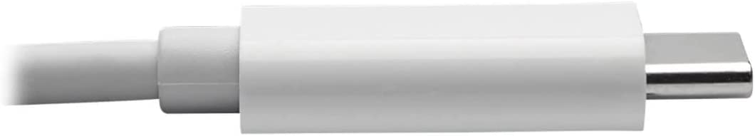 Tripp Lite USB C to DVI Cable Adapter (M/Thunderbolt 3 to DVI Cable Adapter, Gen 1, 1080P @ 60 Hz, White, 10 ft. (U444-010-De)