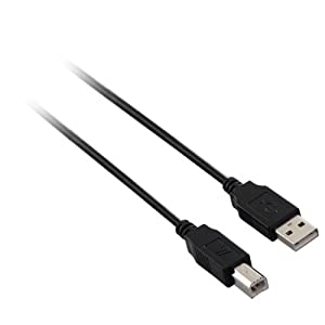 V7 USB 2.0 Cable - 6ft - Type A Male USB - Type B Male USB - Black