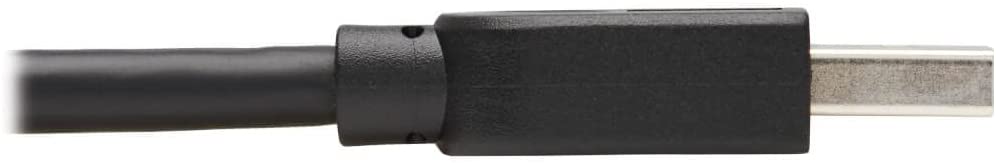 Tripp Lite USB-A Cable for Connecting Keystone & Panel Couplers, Up to 5 Gigabytes per Second, Not for Typical Data Transfer or Charging, 15 Feet / 4.6 Meters, Life Manufacturer's Warranty (U325-015) 15 Feet / 4.3 Meters