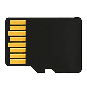 Transcend Information TS32GUSDC10 32GB micro SDHC10 Flash Memory - No Box or Adapter 32 GB