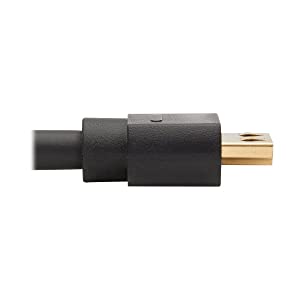 Tripp Lite DisplayPort to HDMI Adapter Active DP 1.2A to HDMI 2.0 M/10ft (P582-010-4K6AE), 10 Feet