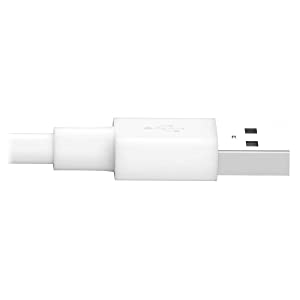 Tripp Lite Apple MFI Certified 10-Feet 3M Lightning to USB Cable Sync Charge iPhone/iPod/iPad - White (M100-010-WH) White 10 ft.