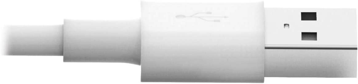 Tripp Lite Apple MFI Certified 6-Feet 2M Lightning to USB Cable Sync Charge iPhone/iPod/iPad - White (M100-006-WH) White 6 ft.
